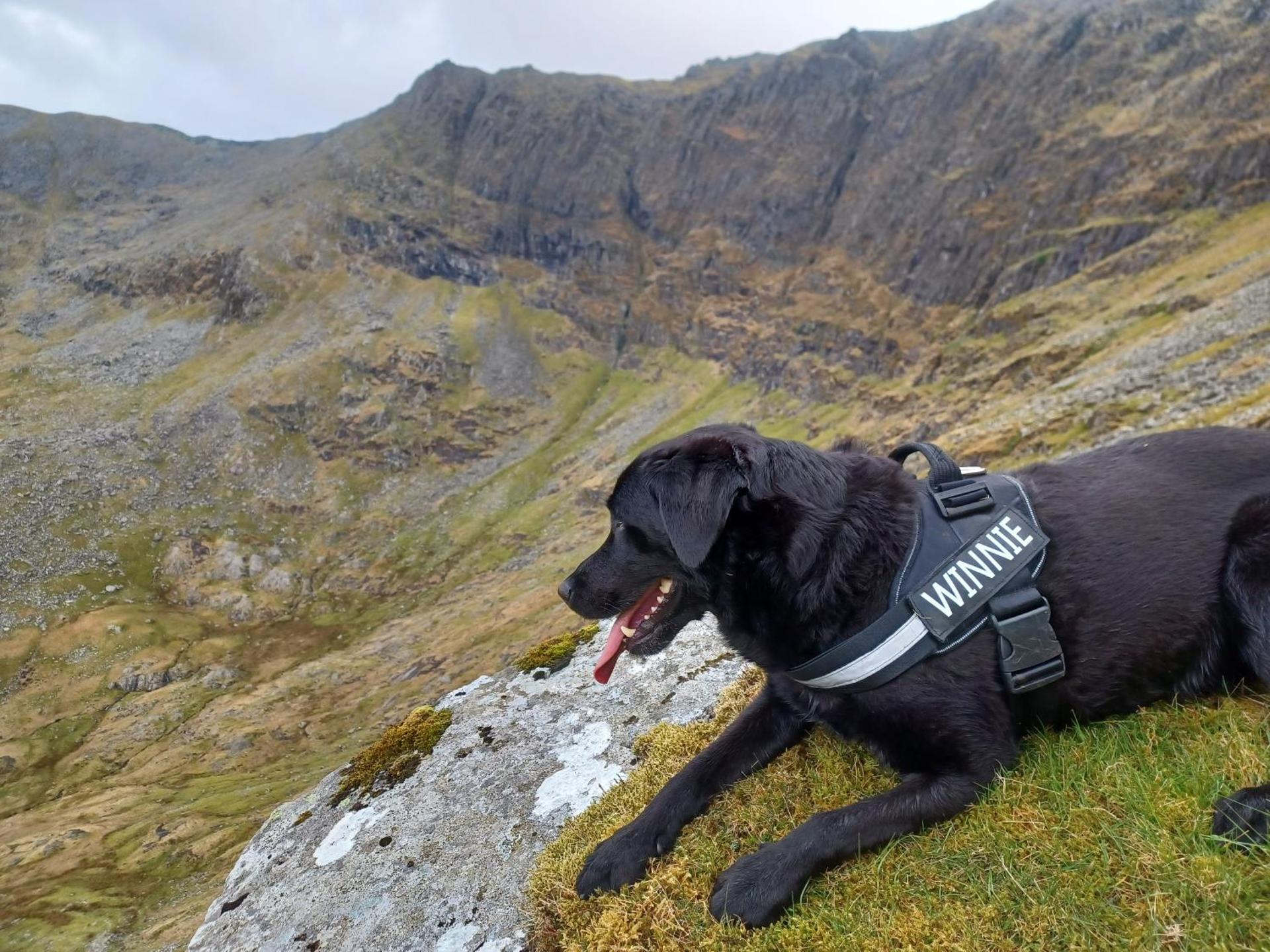 Conwy Pen Cefn Farm Holiday