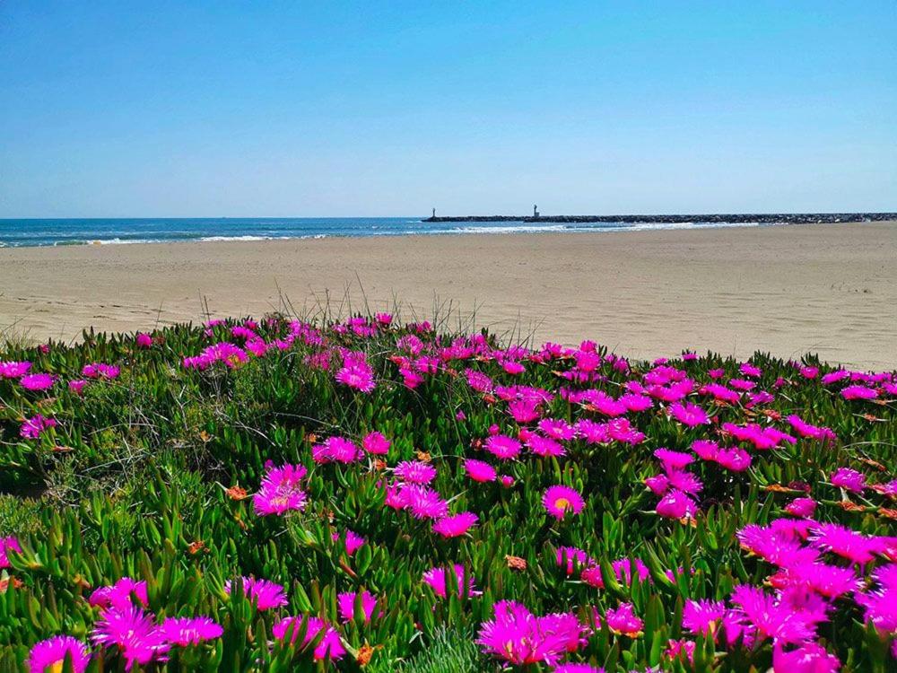 Charmante villa dans village naturiste