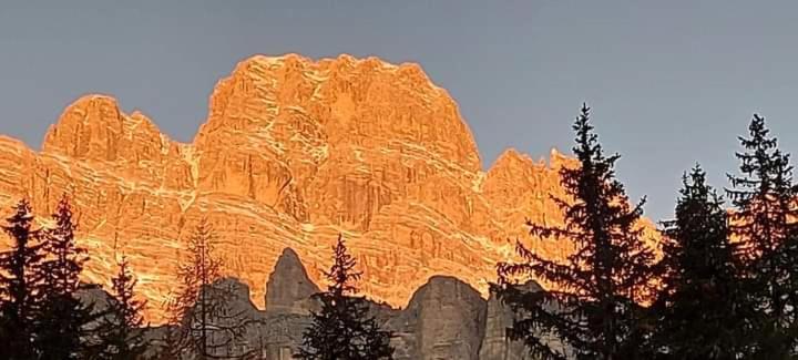 Affittacamere da Annarè