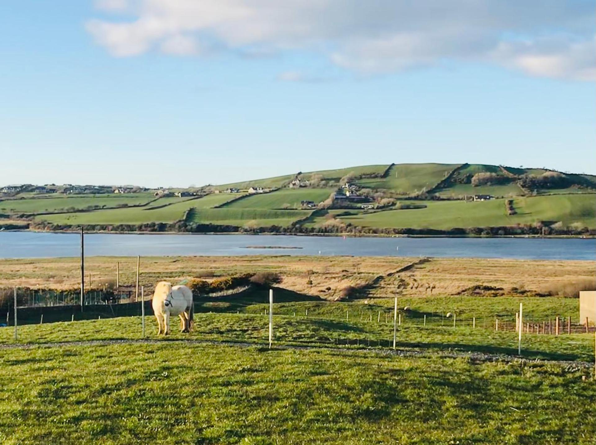 The Snuggly Sheep Shepherd Hut Campview Farm Stay