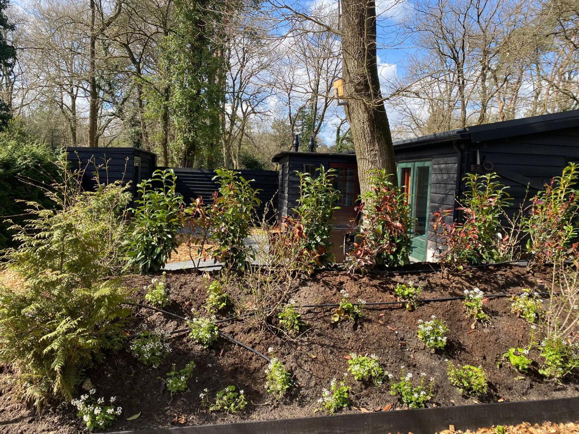 De Veluwse bos Lodge