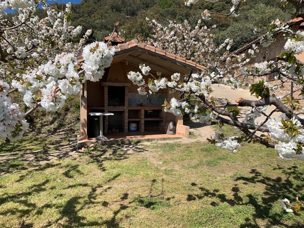 Casa Rural Canchal Madroñeras ***