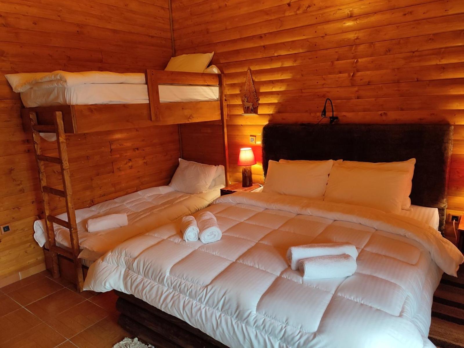 Ο Σκίουρος Παραδοσιακοί Ξενώνες