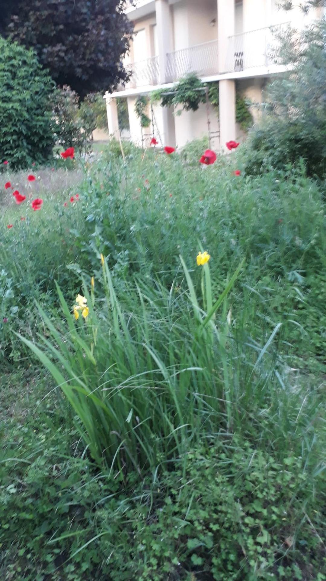 Condrieu et parking voiture vélo 2 ème étage