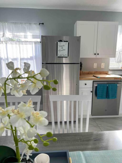 House of Manatees-Entire house with yard, fire pit, dog friendly