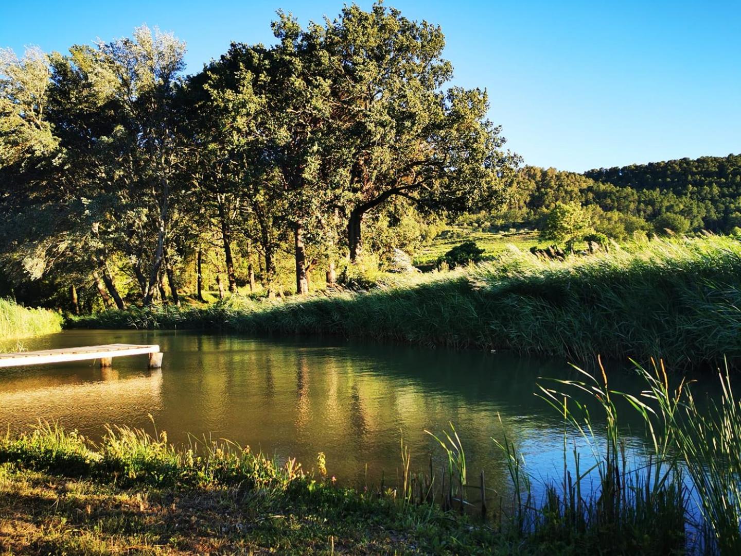 La Bastide du Capelier - Chambres d'hôtes avec baignoire balnéothérapie - 3 étoiles