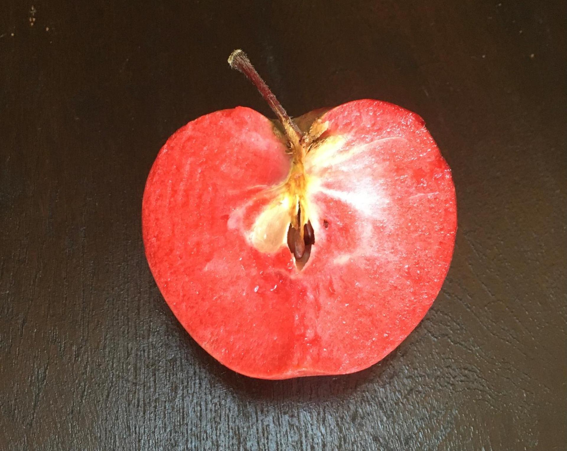 Agrialpi by Salfrutta