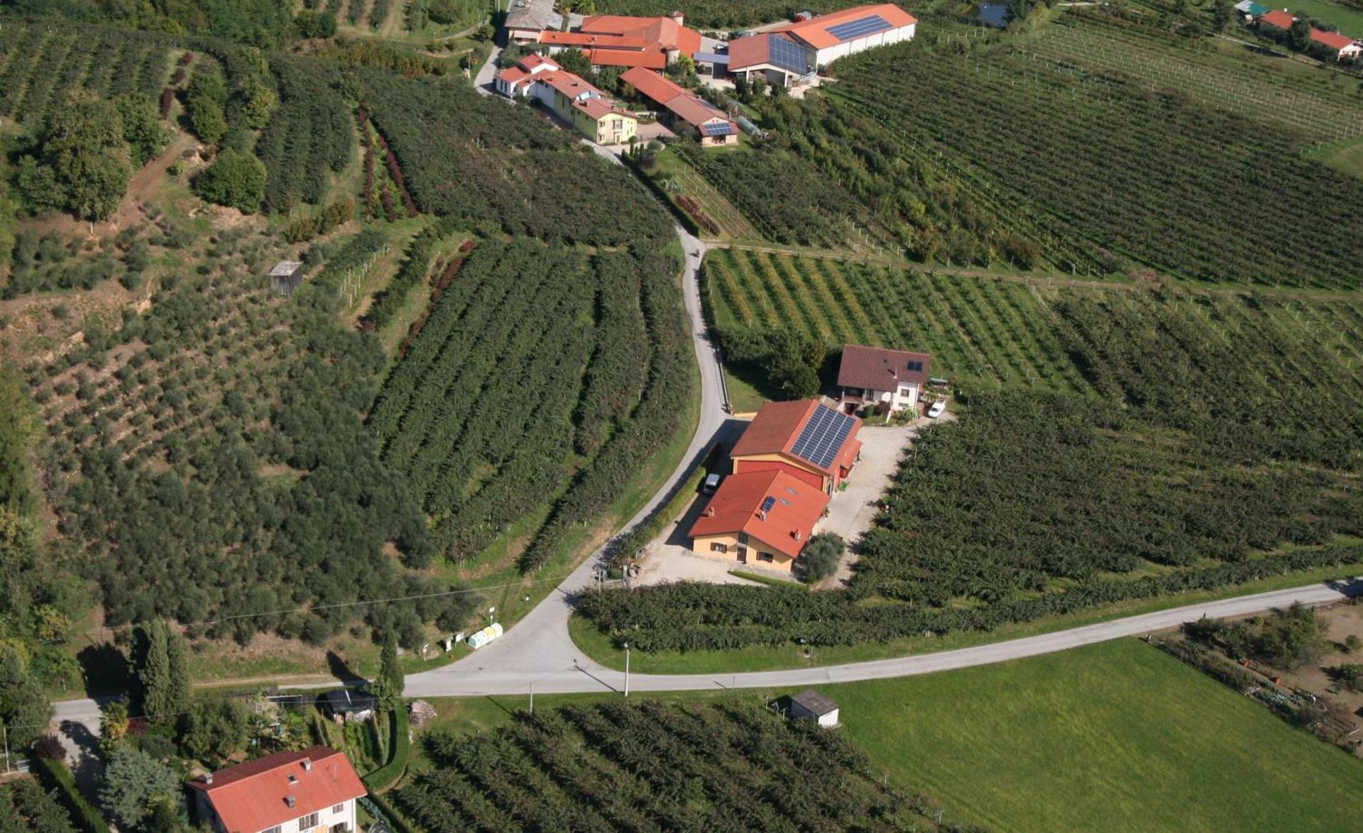 Agrialpi by Salfrutta