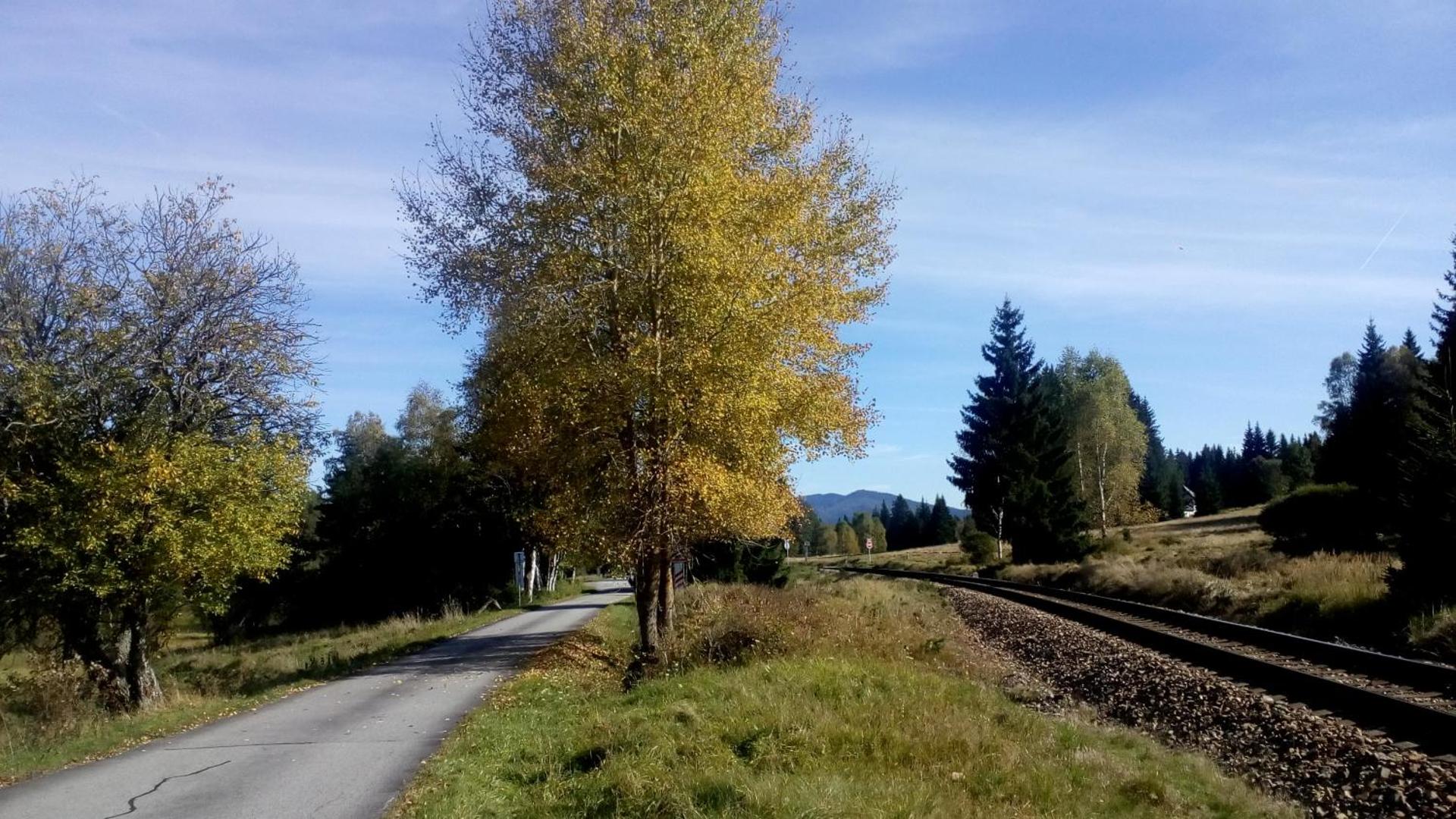 Apartmán PECKA - Nová Pec