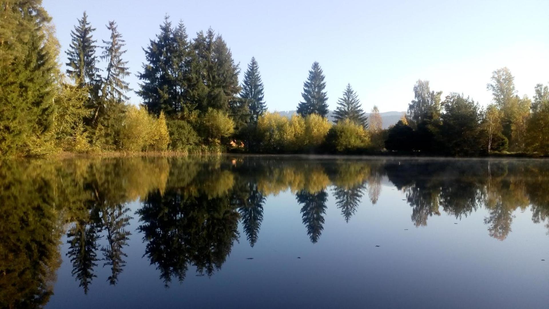 Apartmán PECKA - Nová Pec