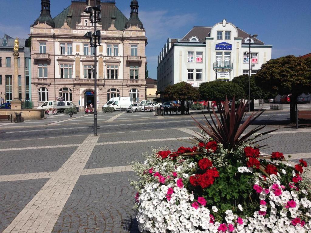 Apartman Hruba Skala