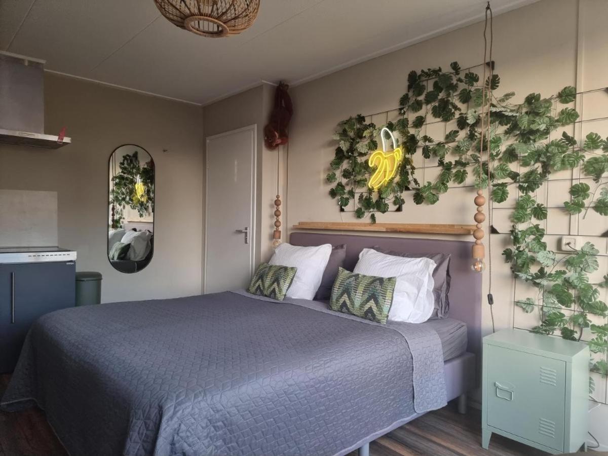 The Jungle - duo studio with kingsize terrace