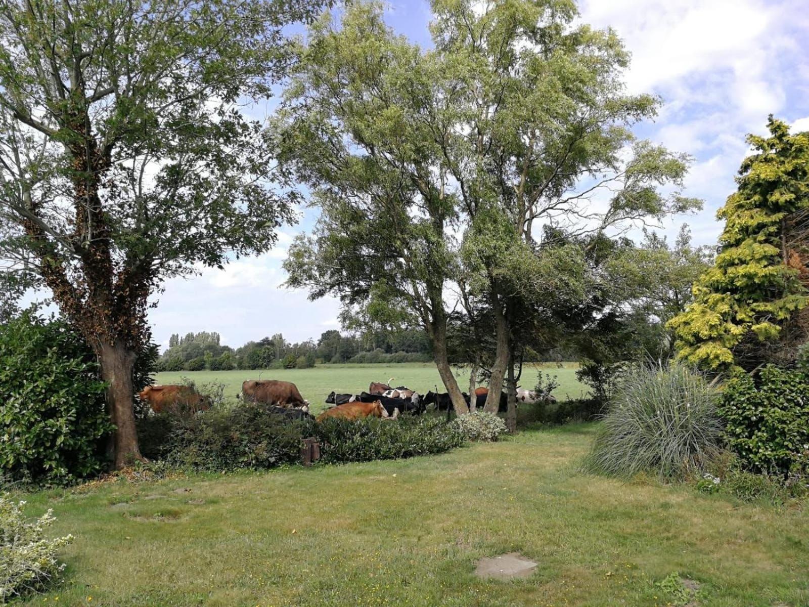 View (from property/room)