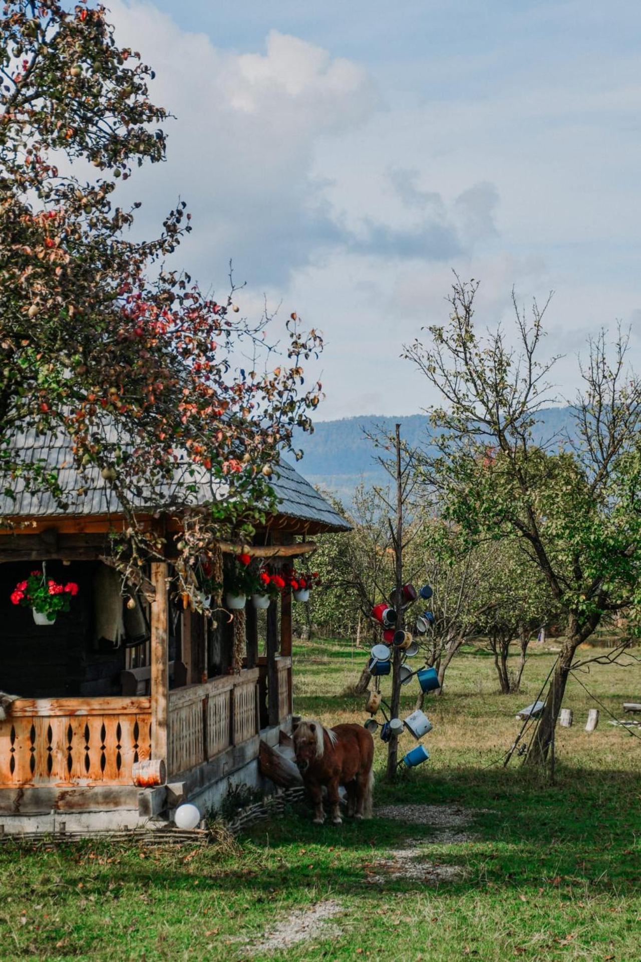 Casuța din Grădină