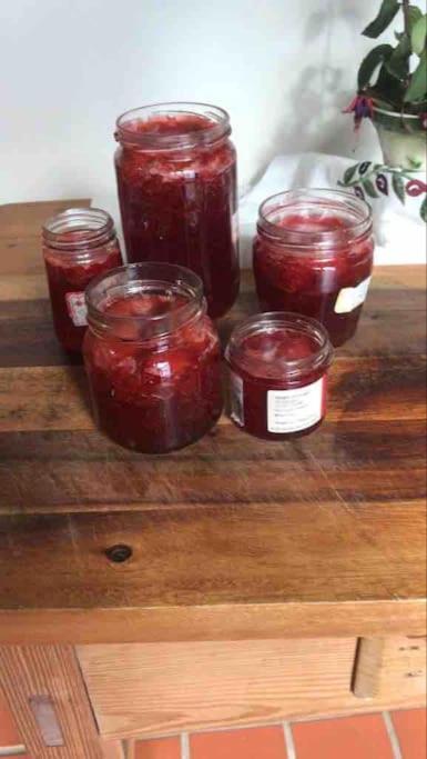 An Bothán-Cosy Cottage in the Cooley Mountains
