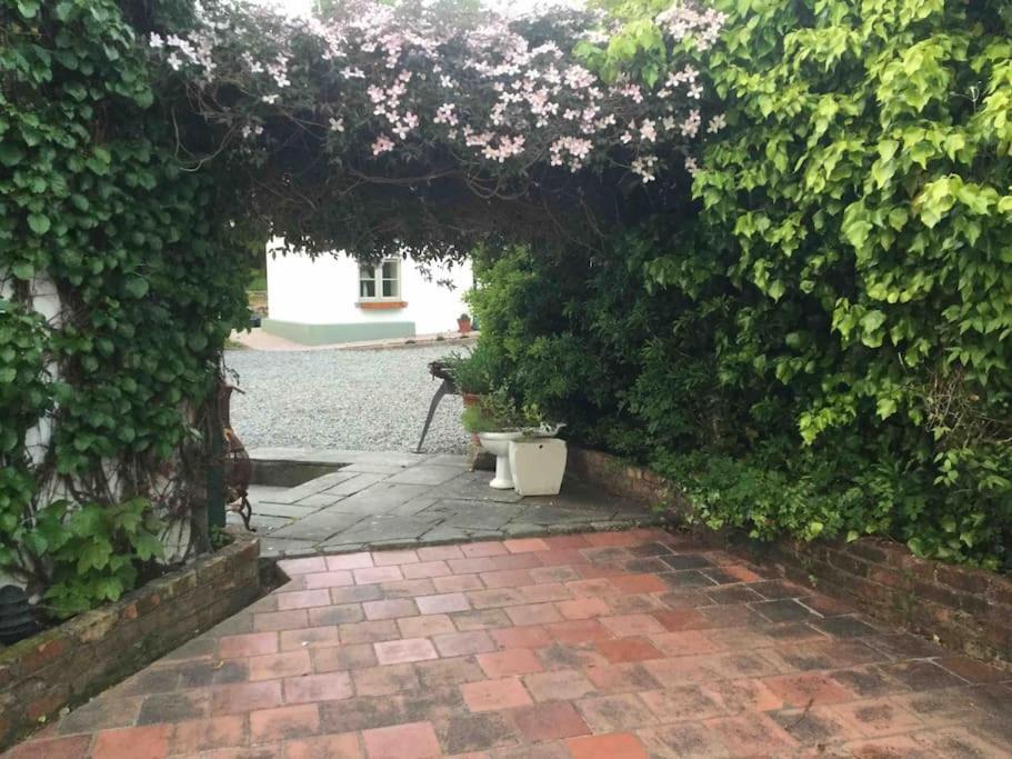 An Bothán-Cosy Cottage in the Cooley Mountains