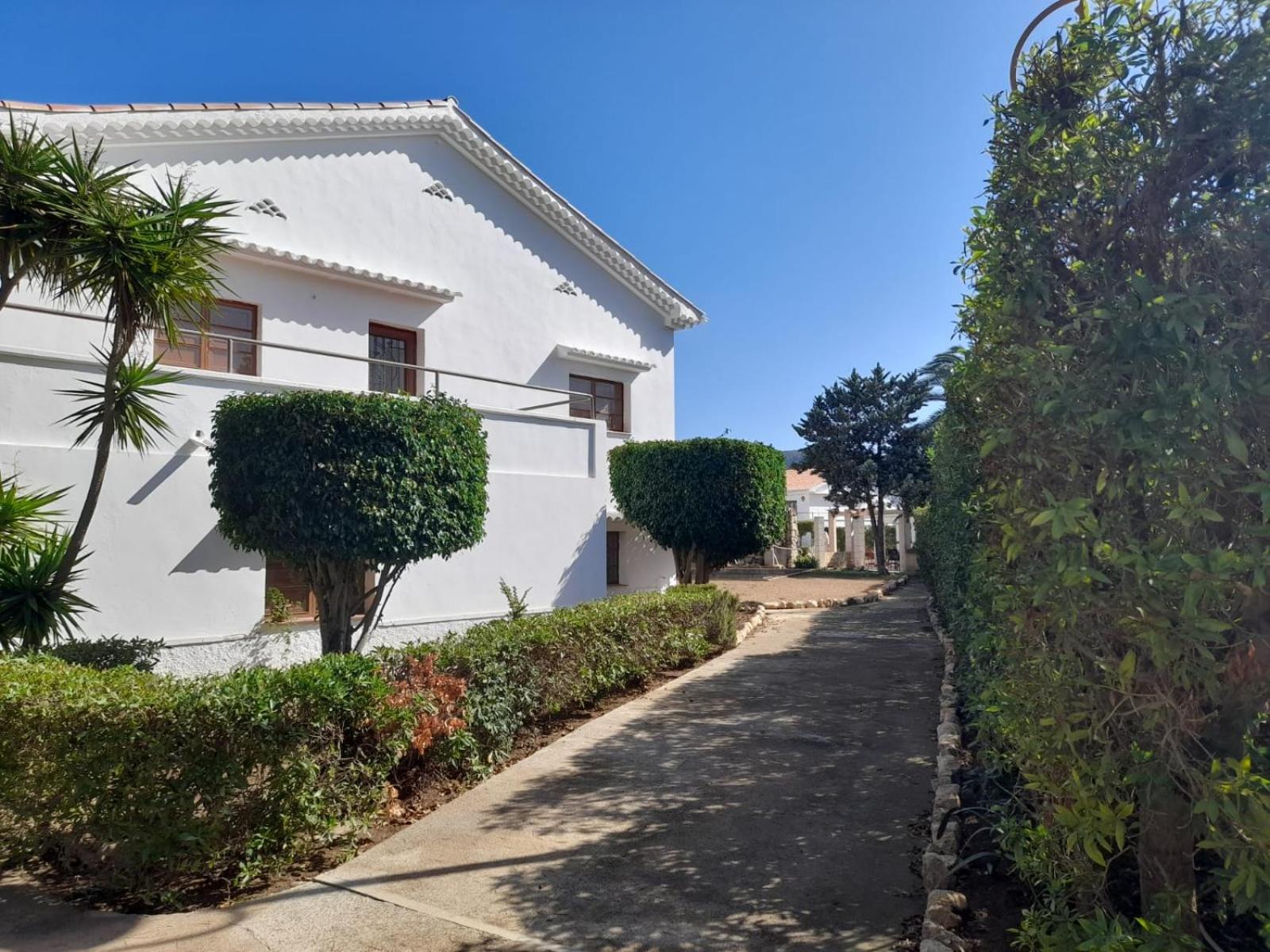 Hostal Residencia Alma