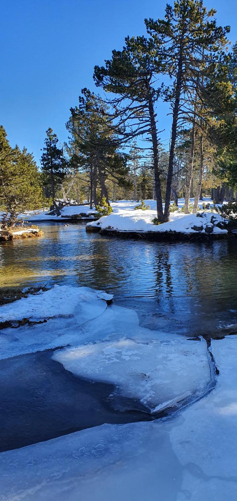 apt cosy, 4 pers, plein centre ville, parking offert