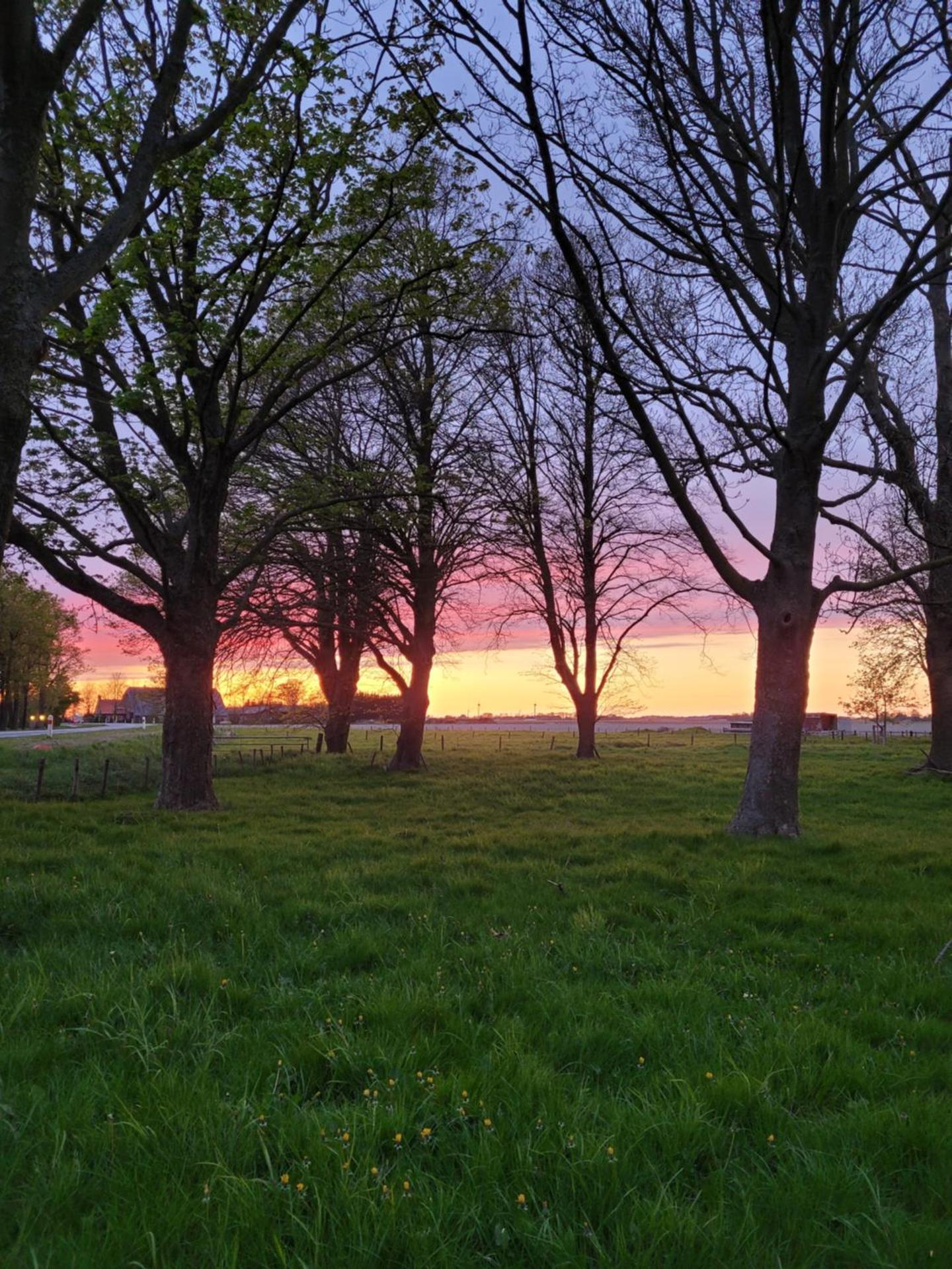 Vakantiehuis aan het Bos