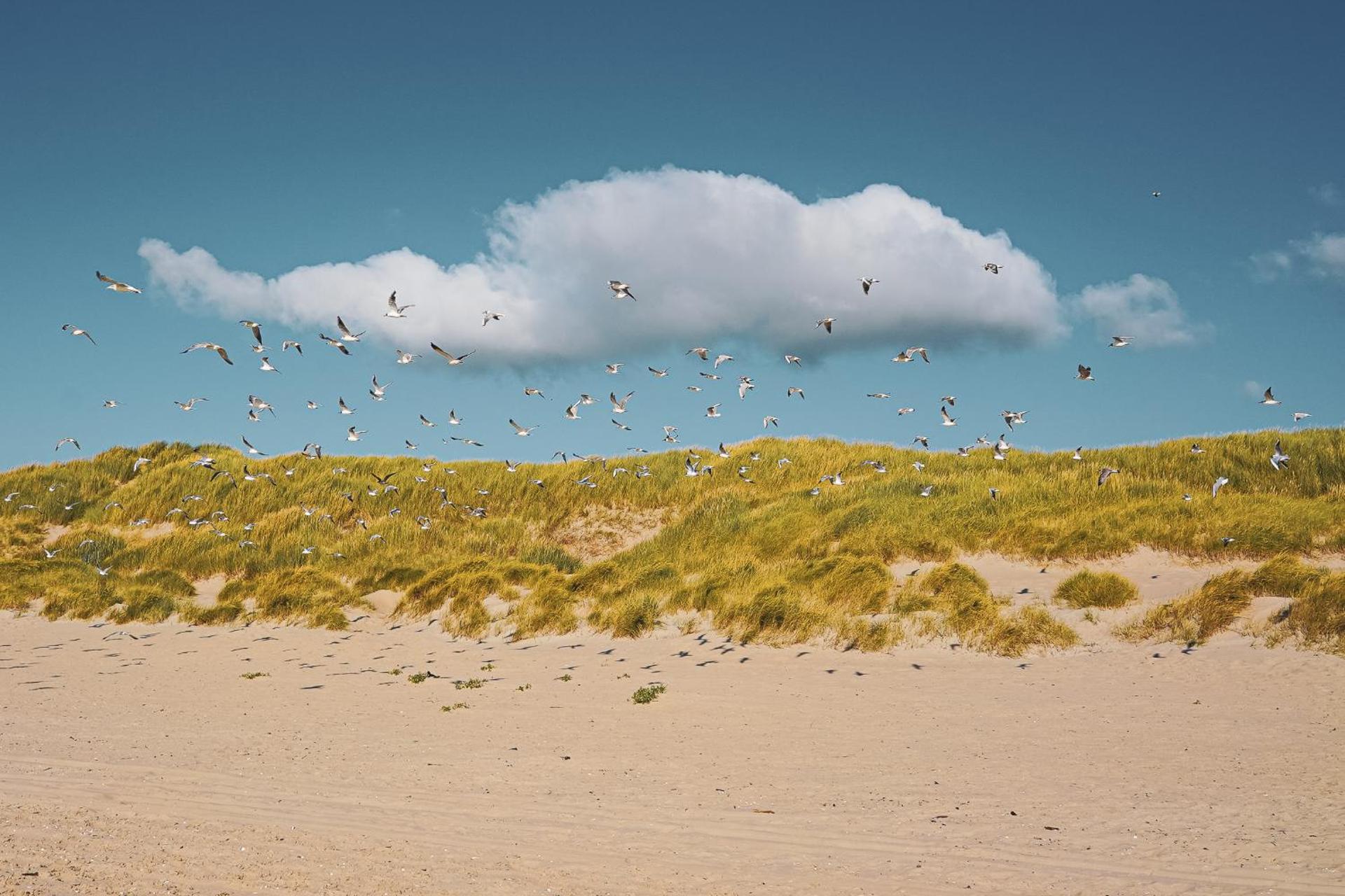 Appartement Duinzee Texel