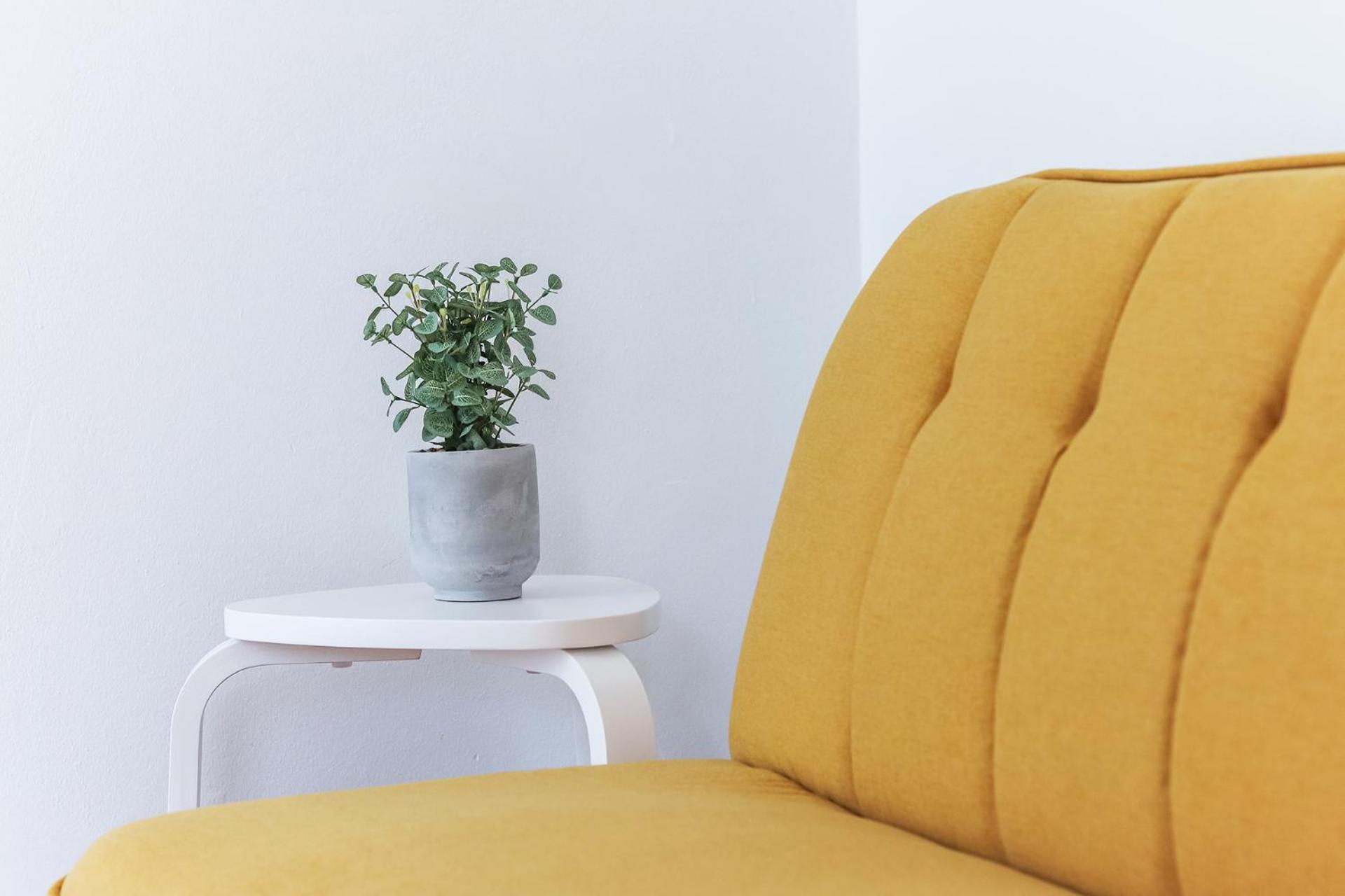 Vita Portucale ! Stylish Apartment Campo Ourique