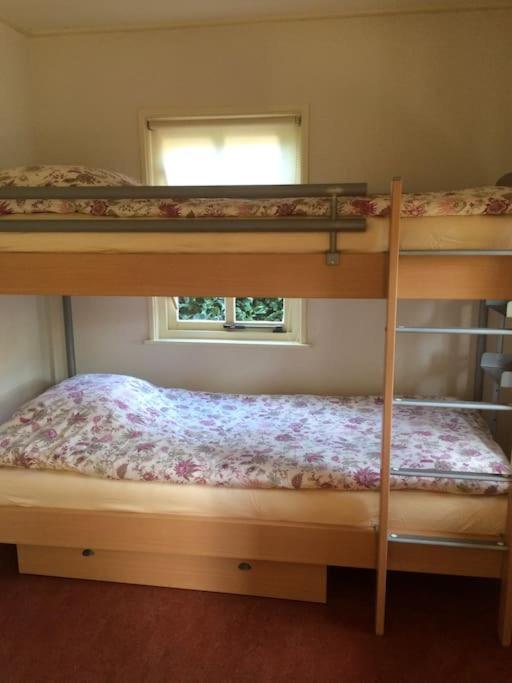 Tanja's Guesthouse Kootstertille