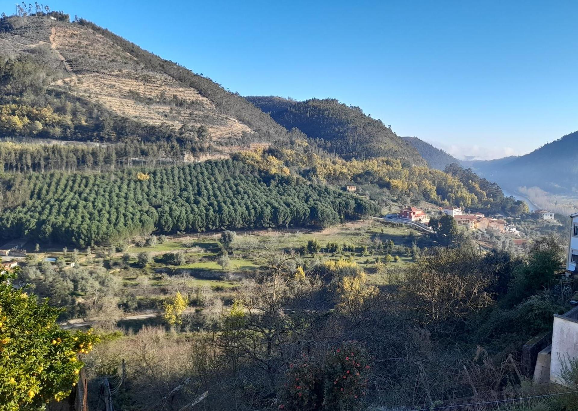 View (from property/room)