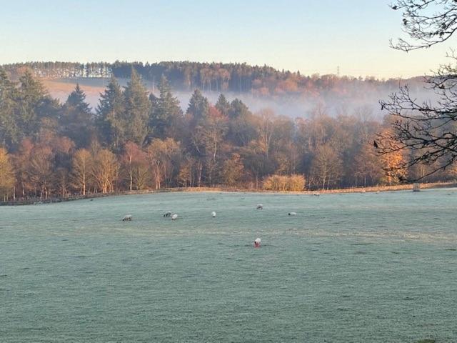 The Bothy at Ivy Cottage