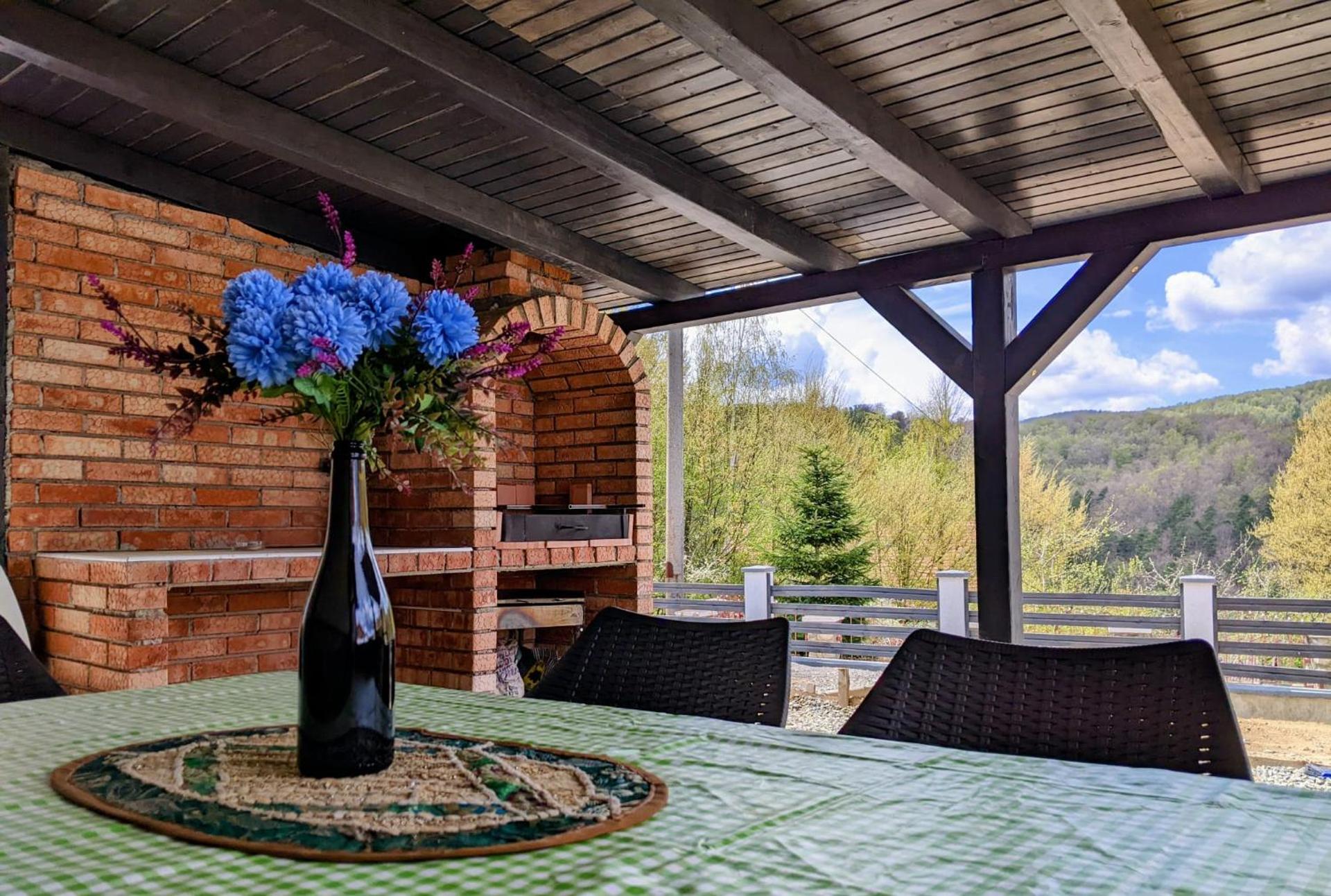 Hill House Valiug Crivaia