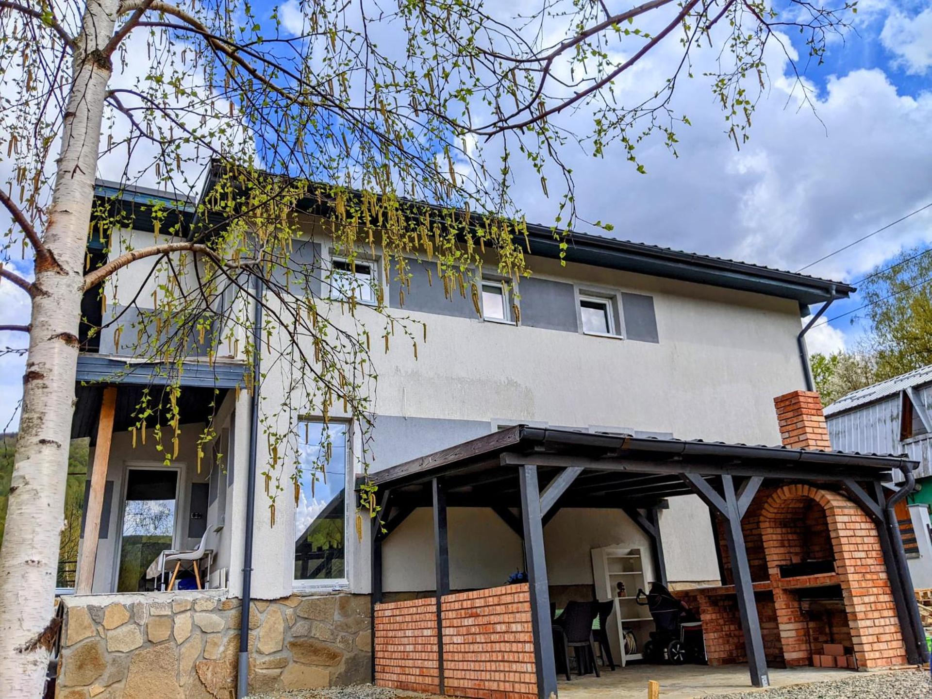 Hill House Valiug Crivaia