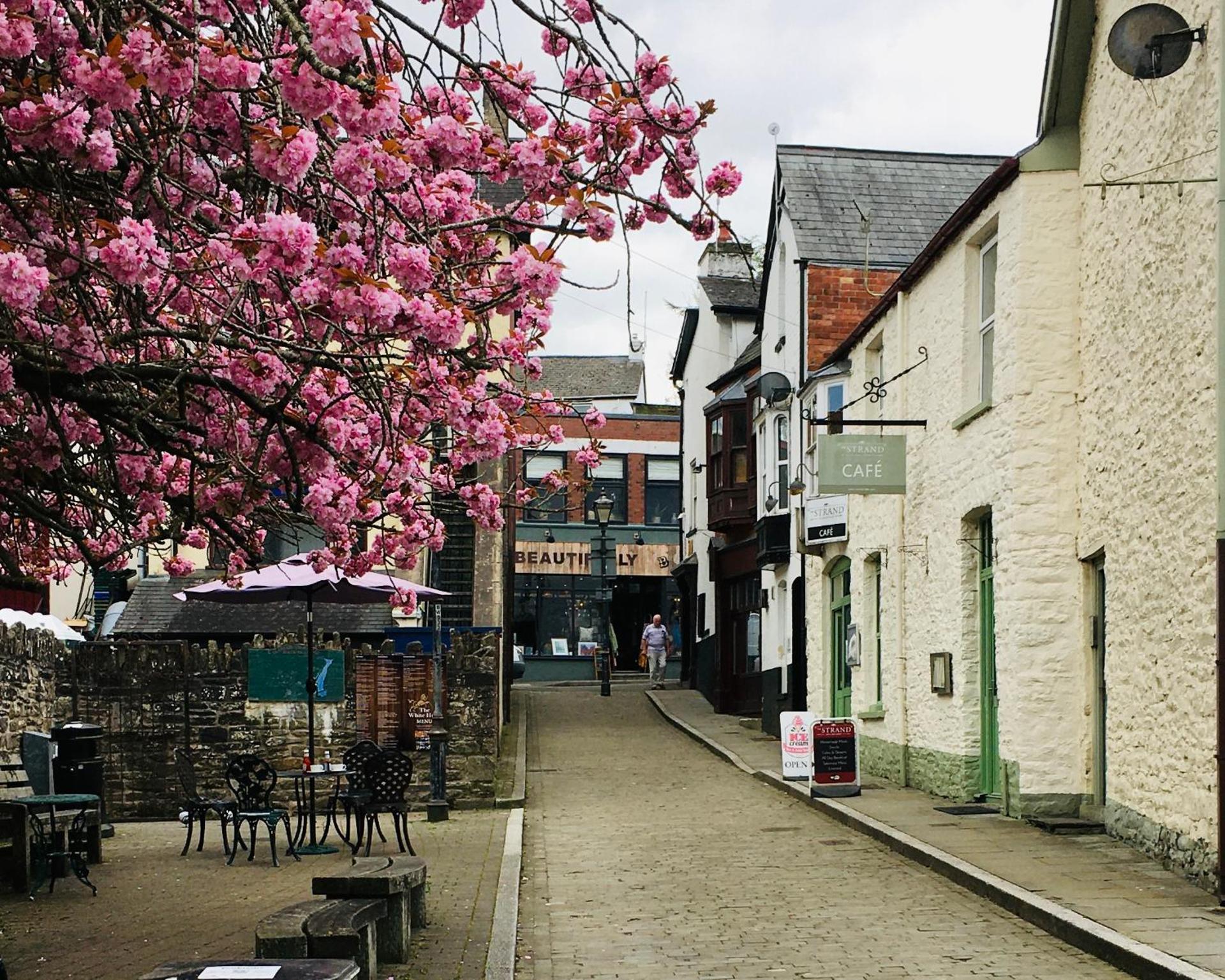 The Art Attic a Stylish Boutique Apartment