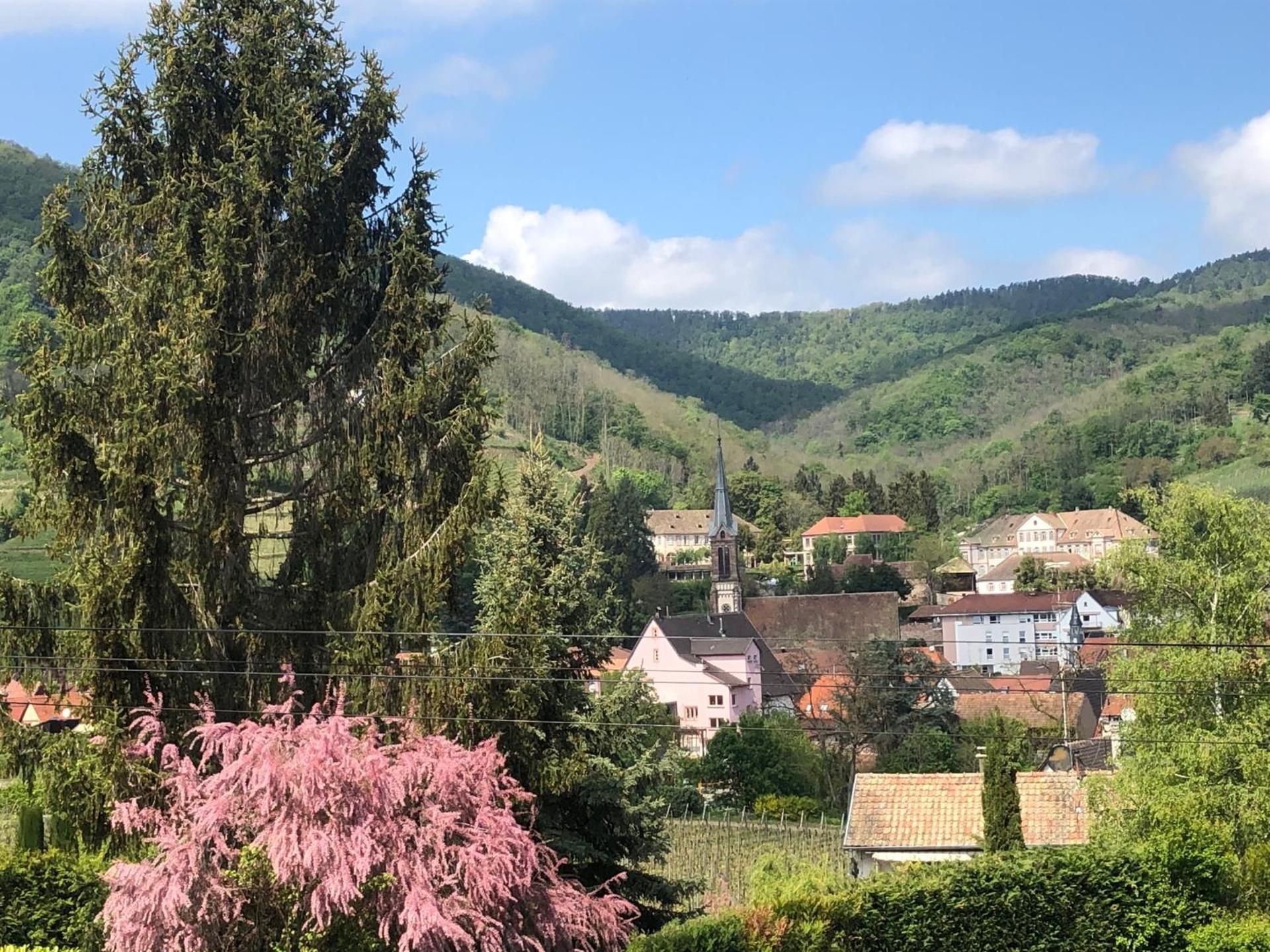 View (from property/room)