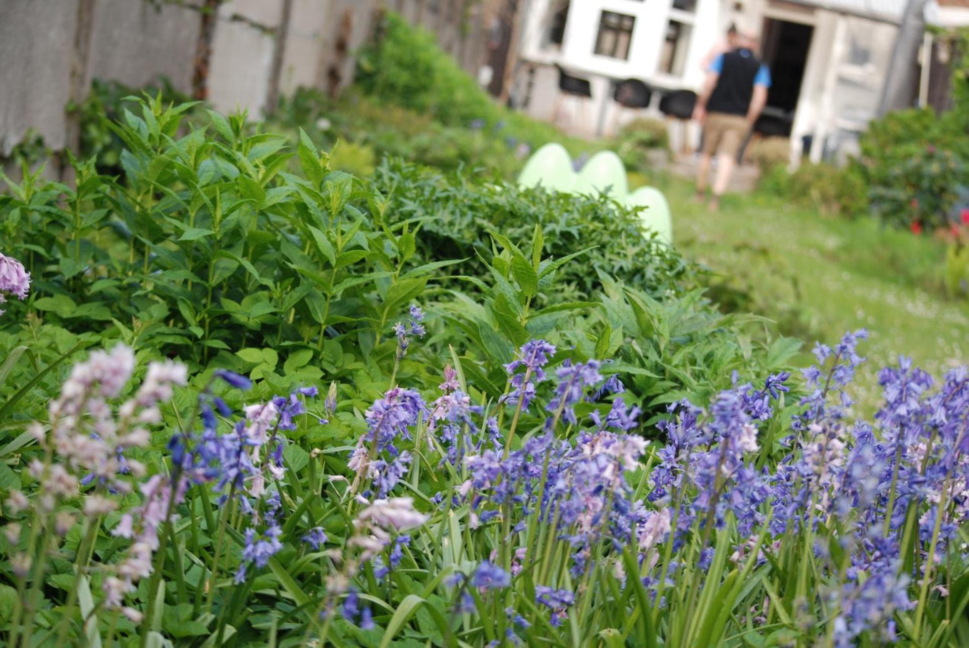 Gastenkamers huYze K