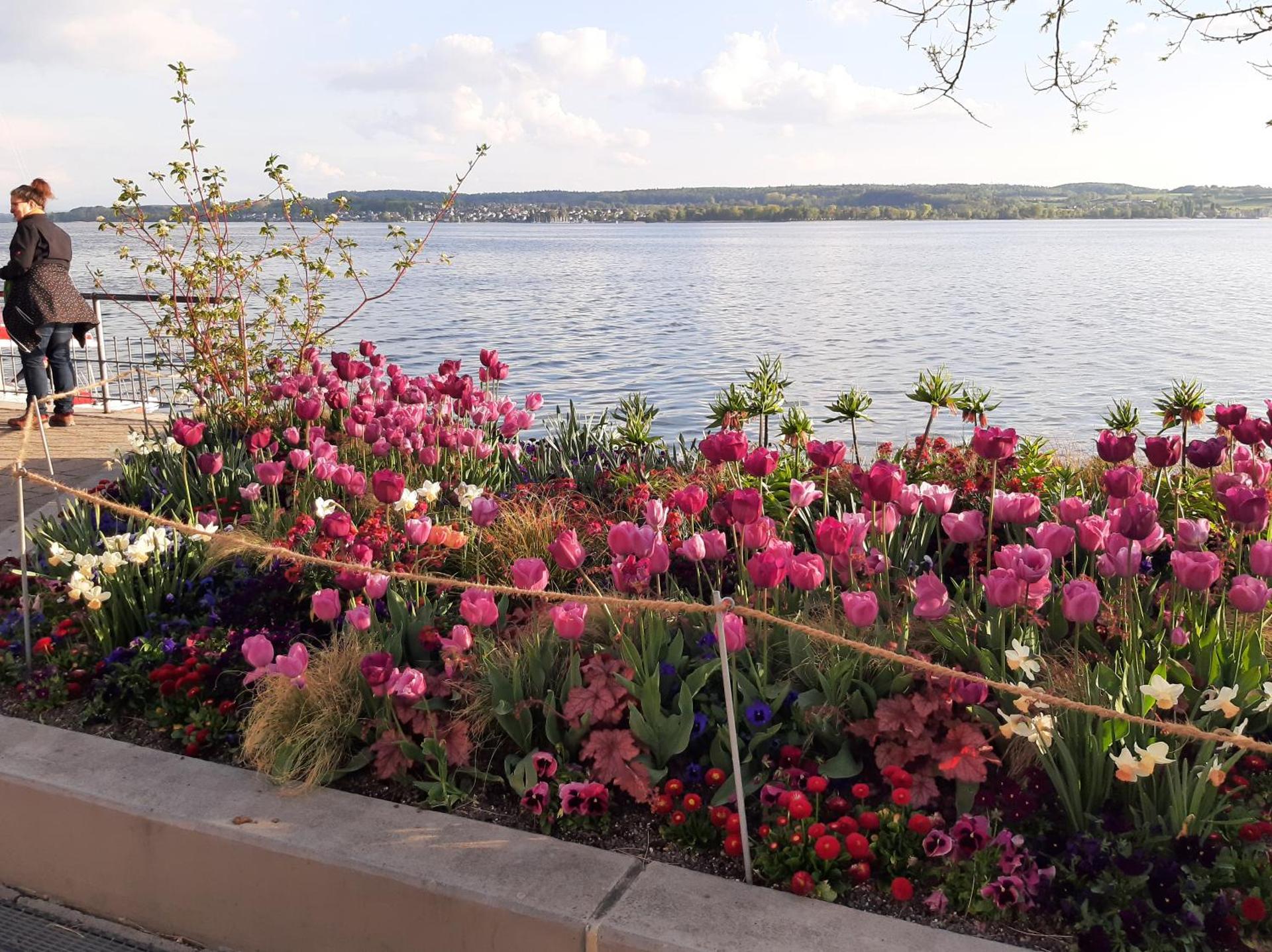 Ferienwohnung mit Seeblick und PKW Abstellplatz am Haus