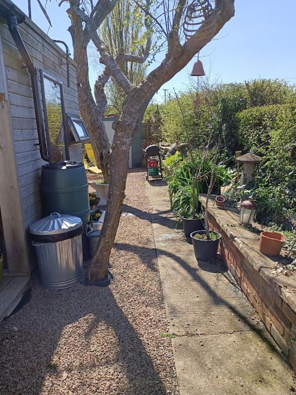 Crown Cabin Wiltshire near Longleat and Bath