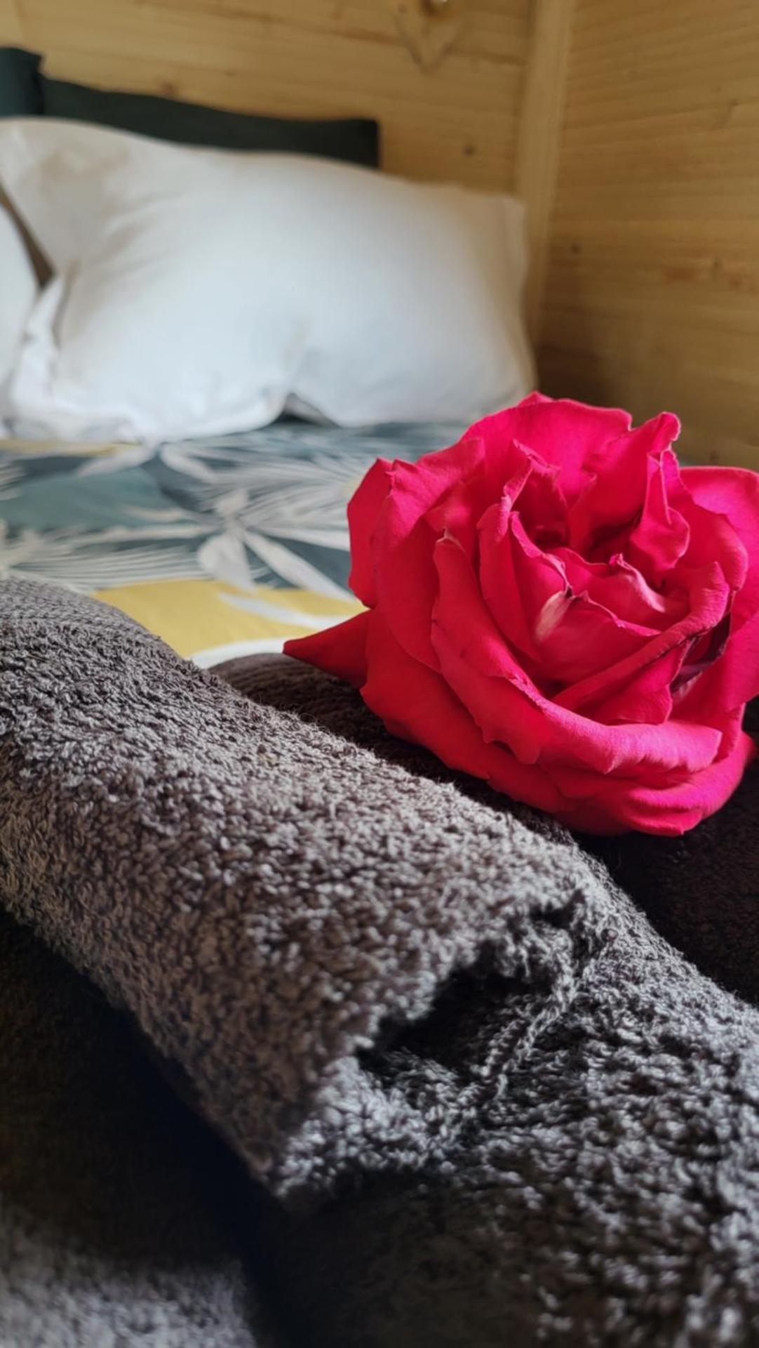 Gîte de la Roulotte de l'Epine