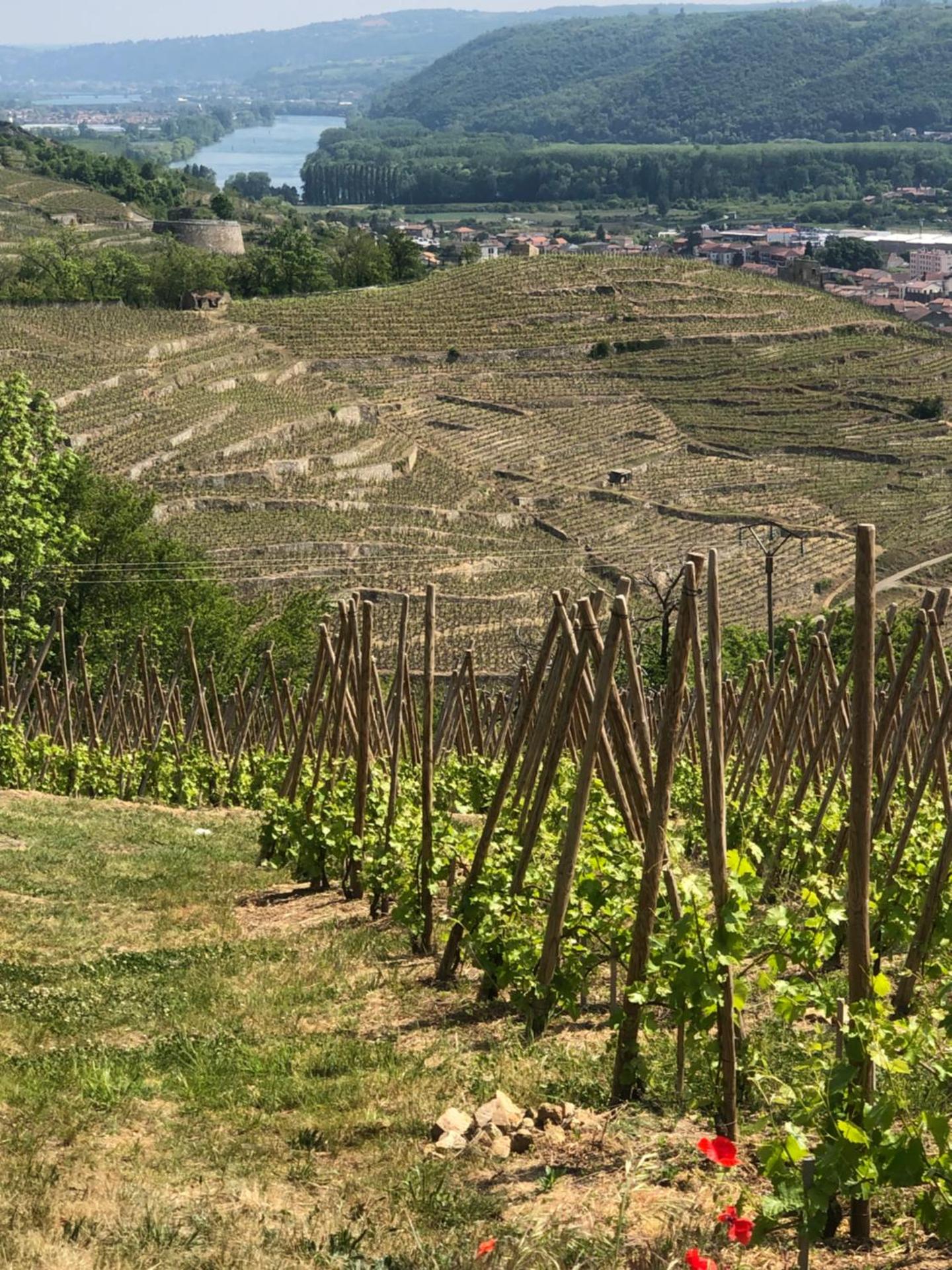 Condrieu et parking voiture vélo 2 ème étage