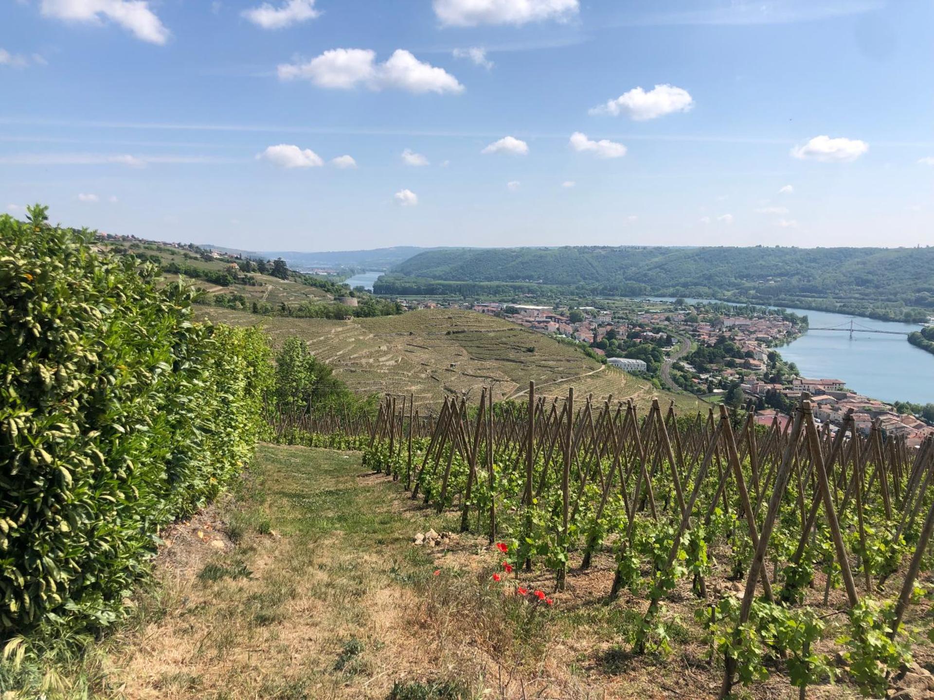 Condrieu et parking voiture vélo 2 ème étage