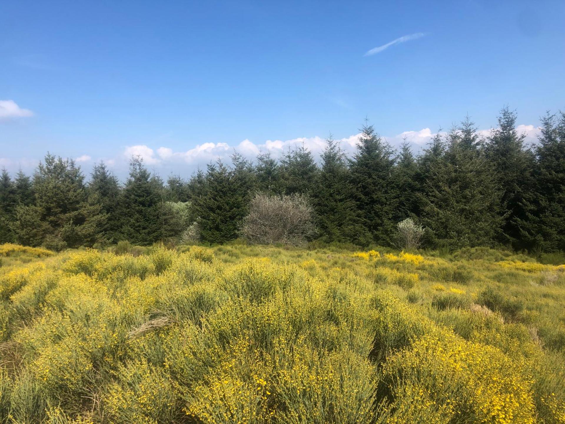 Condrieu et parking voiture vélo 2 ème étage