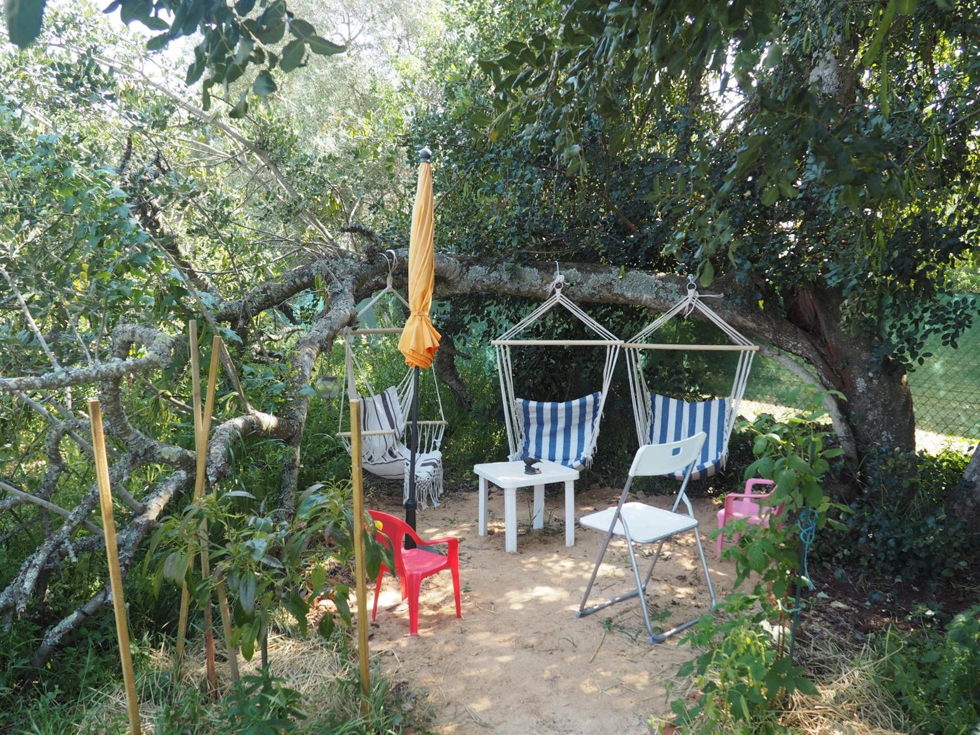 Tiny house eco resort