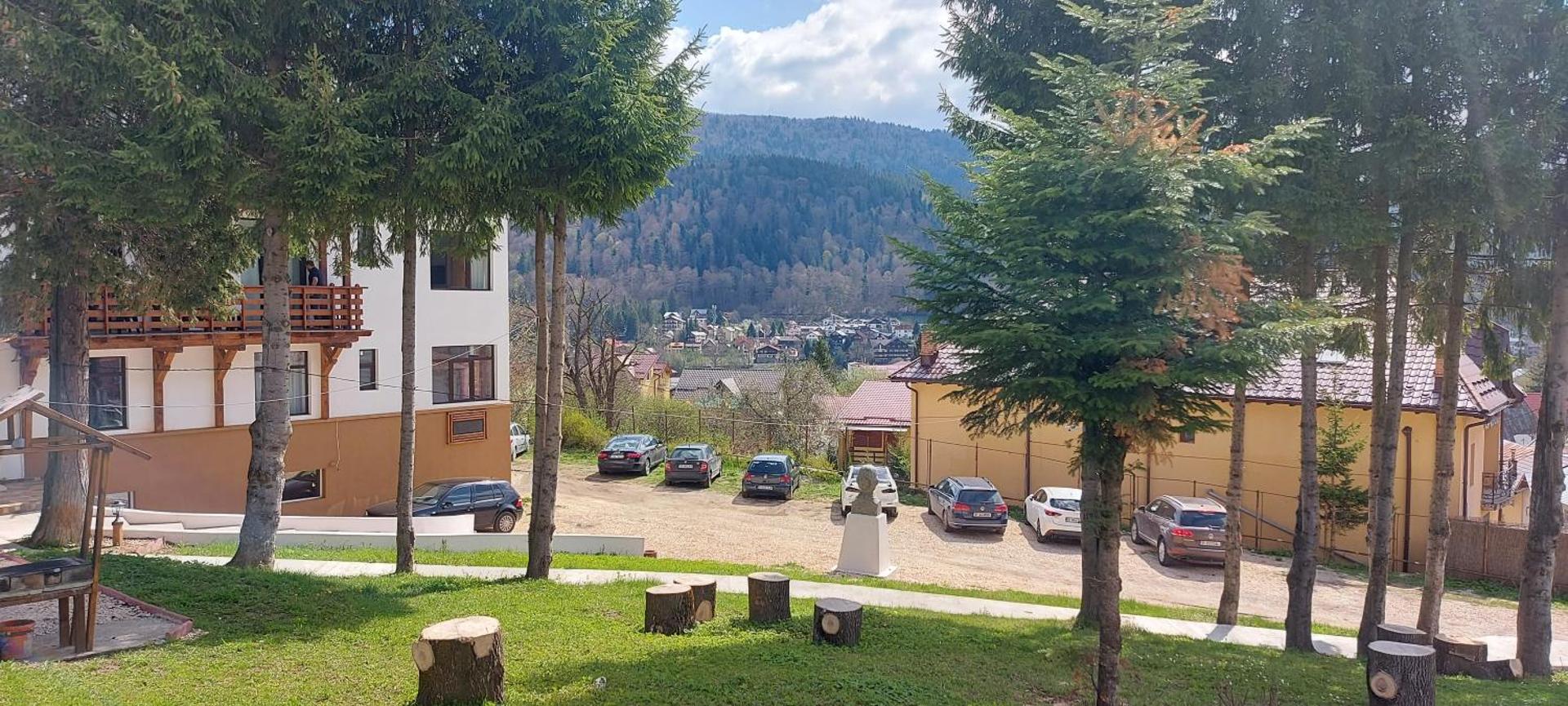 Vila PANORAMIC Busteni