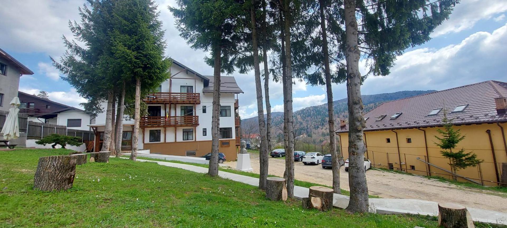 Vila PANORAMIC Busteni