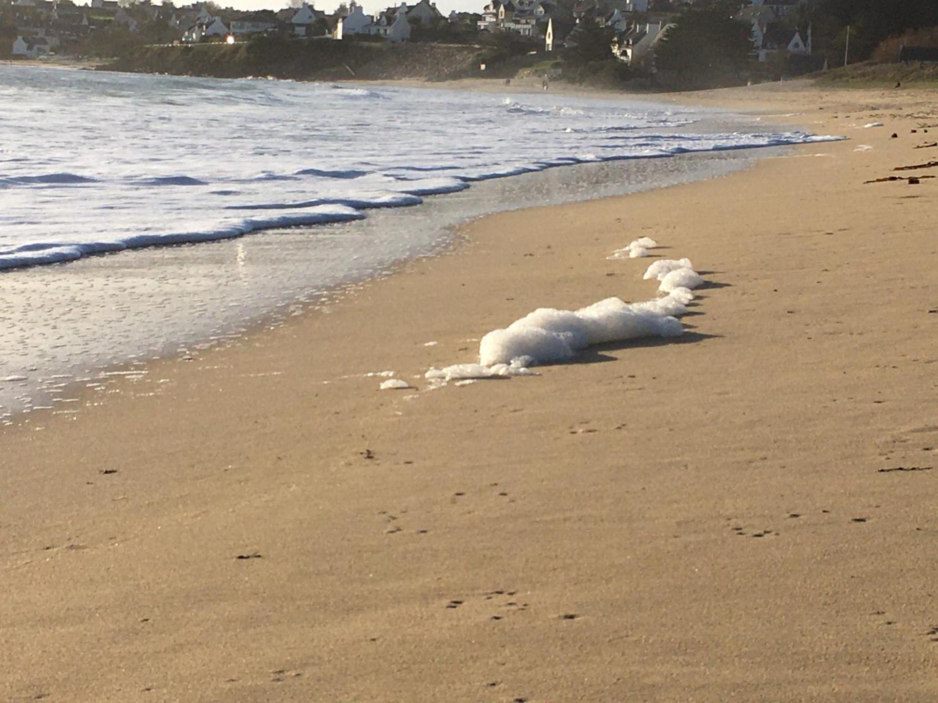 Magnifique Maison face à l'Océan - Pointe du RAZ