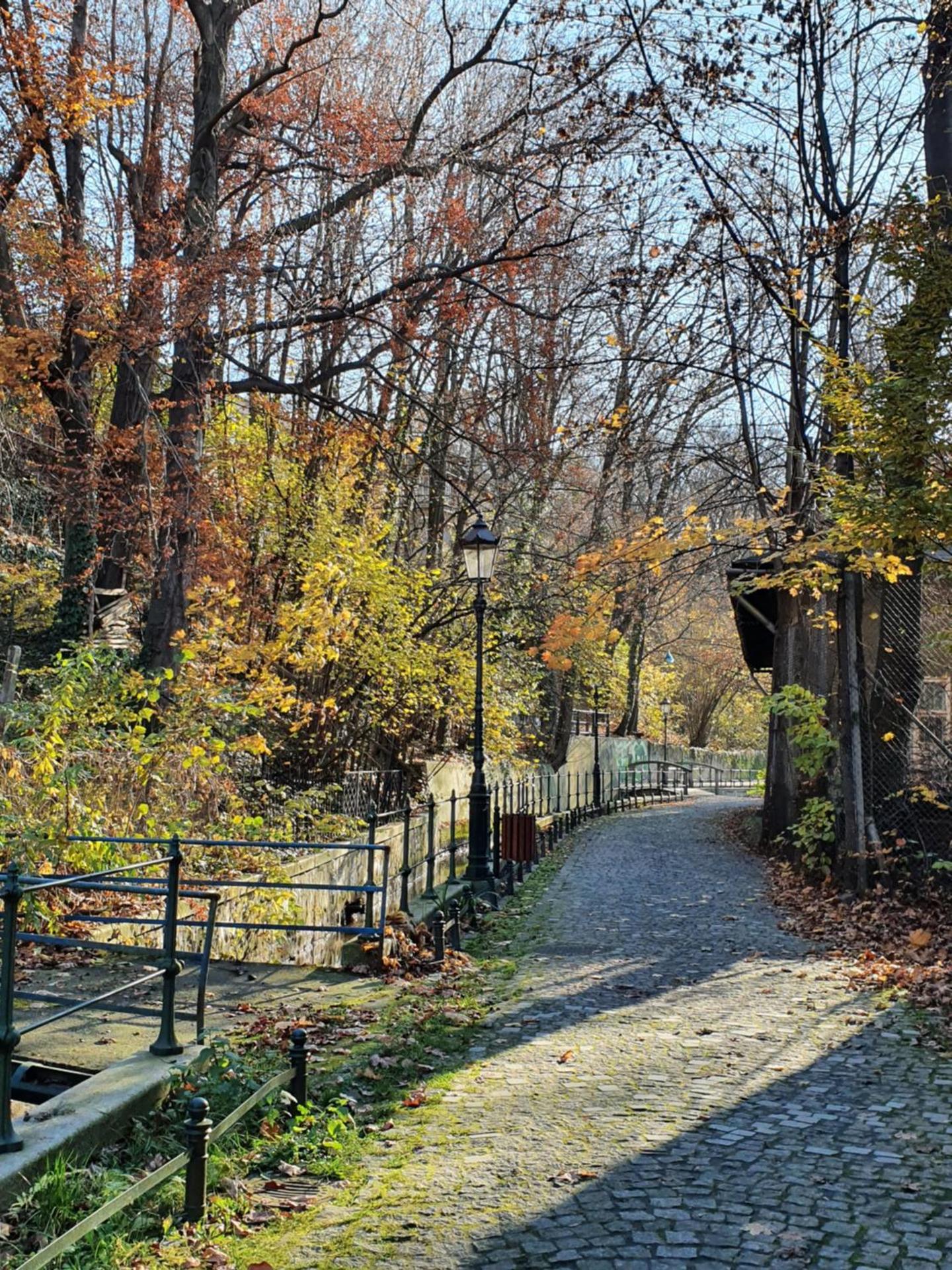 Apartamenty Magiczna Wenecja