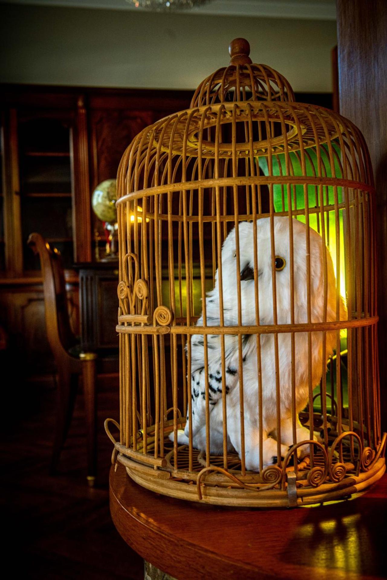 Potter's Place by Ardenne Places