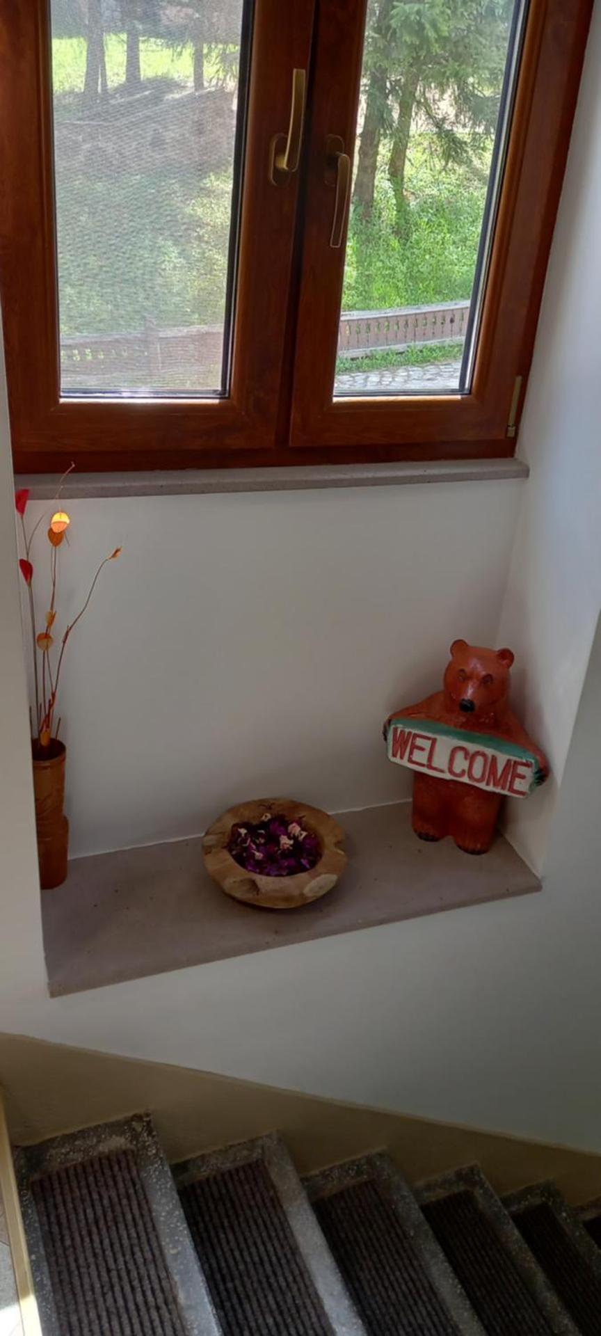 Casa de oaspeti Kinga's Crown