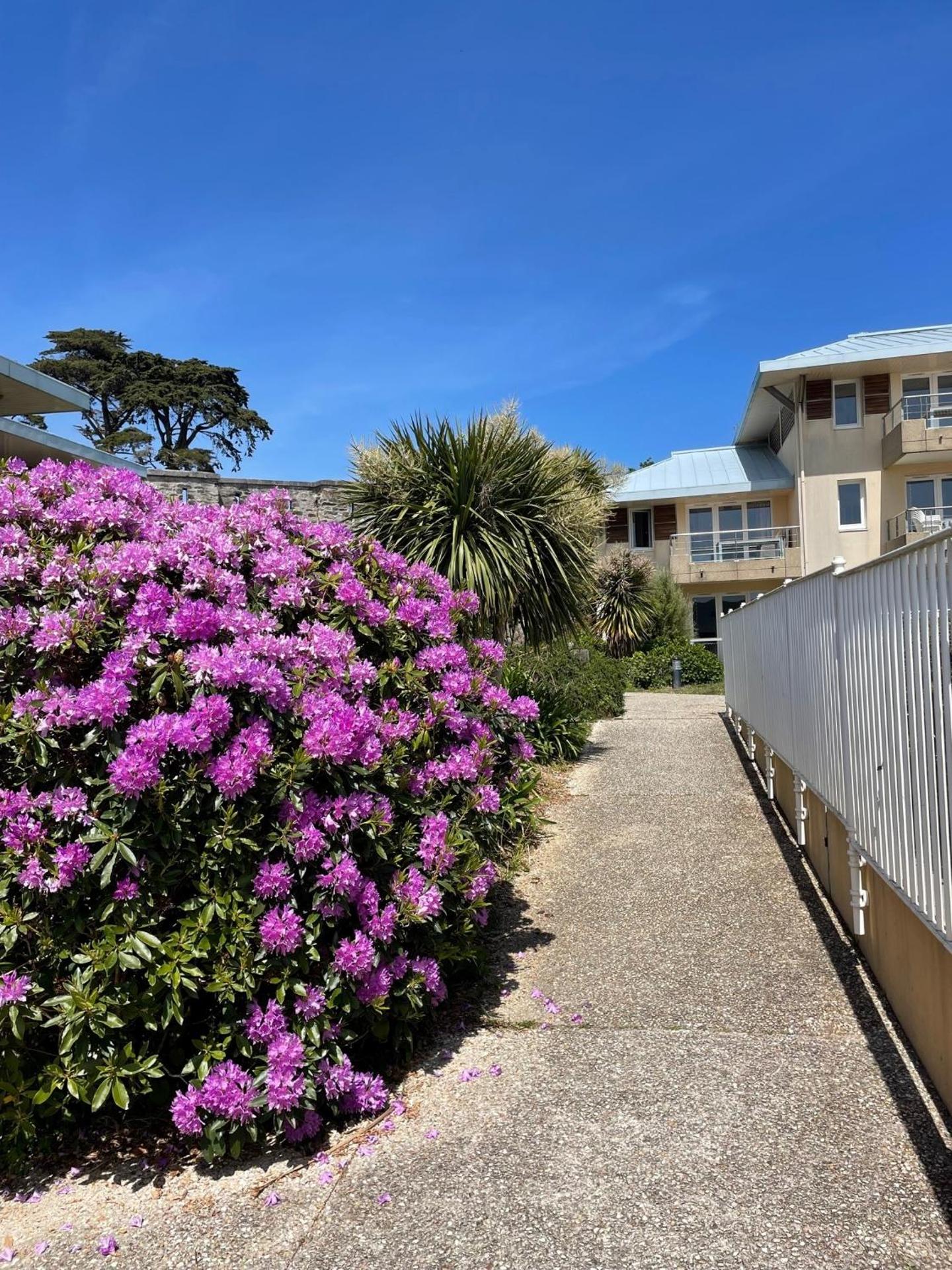 Appartement cosy les pieds dans l’eau, vue mer exceptionnelle