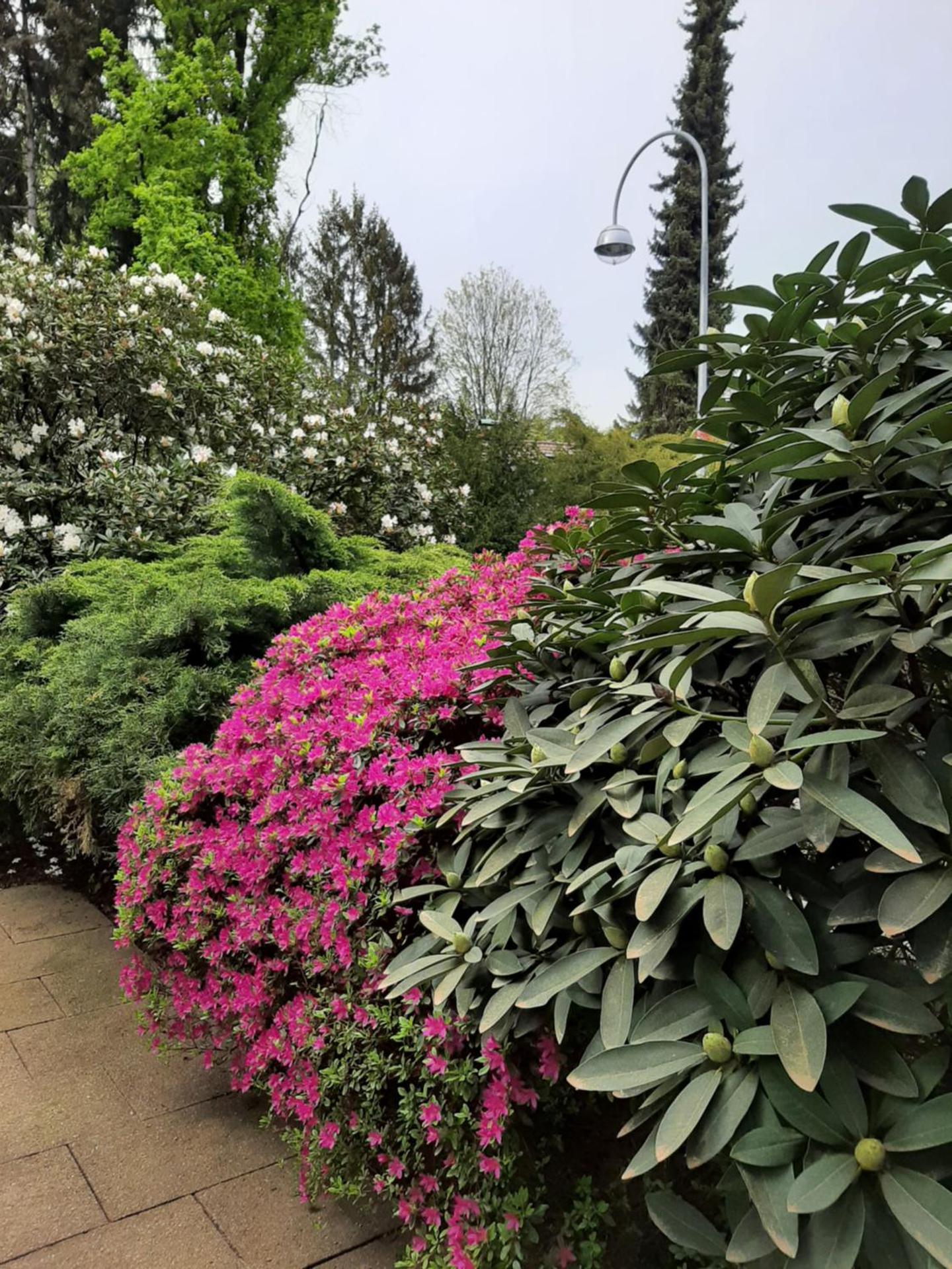 At the Lichtentaler Allee Apartment