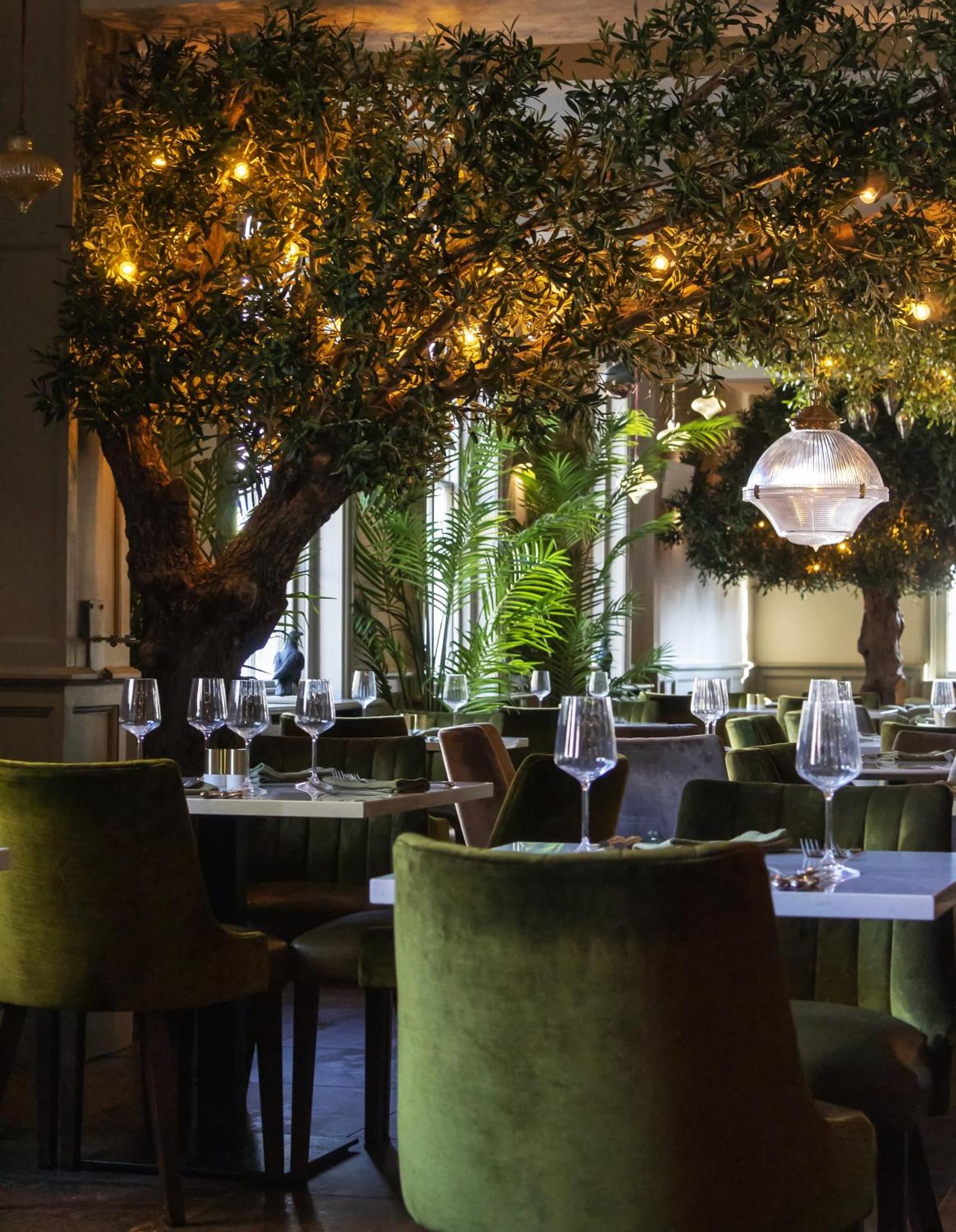 Restaurant/places to eat