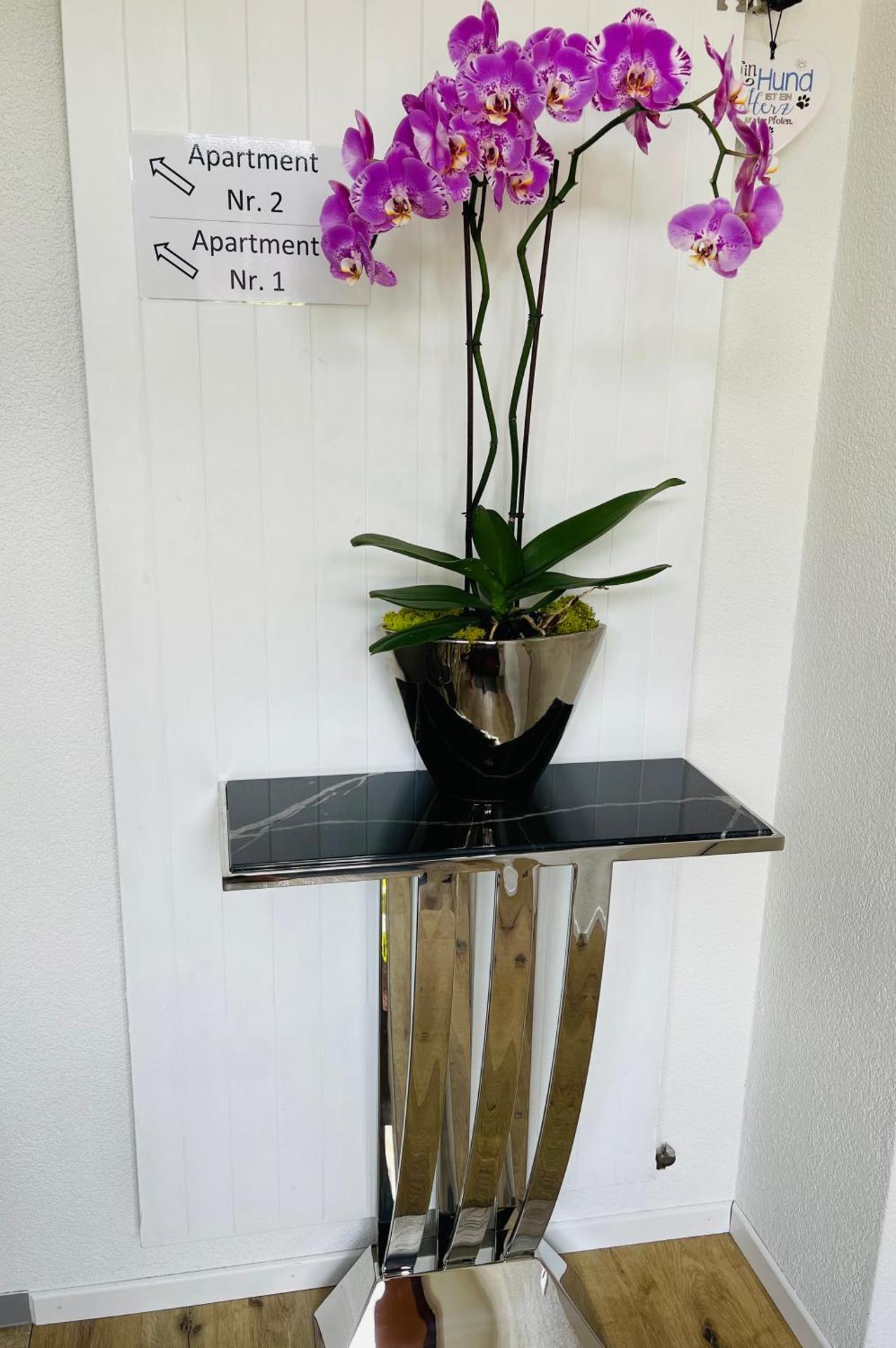 S&P Mountain View Apartment 2